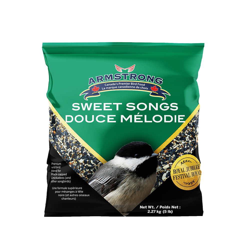 65eb2bb15dd0a75ae36f9f11_Sweet